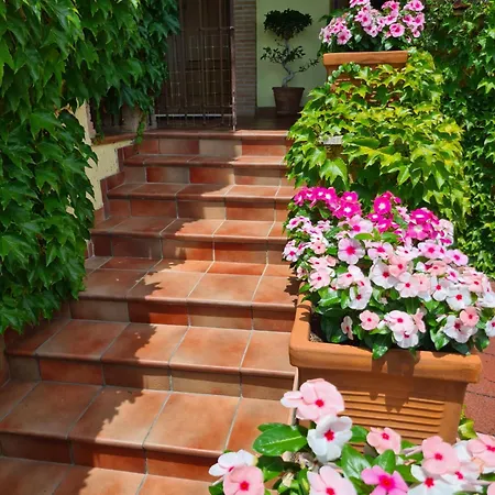 Bed and breakfast Olga