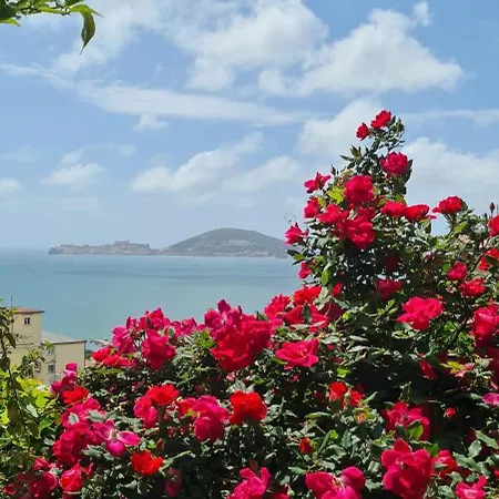 Bed and breakfast Olga