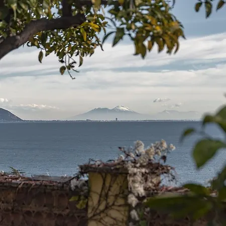 Olga Bed and breakfast Formia