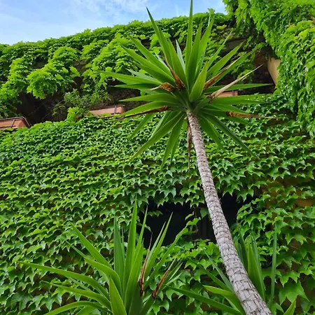 Bed & Breakfast Olga 4*