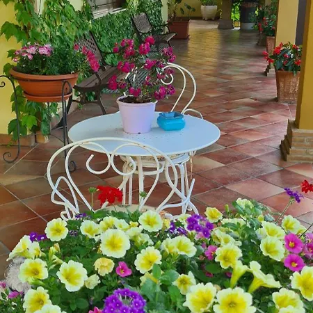 Bed & Breakfast Olga Formia