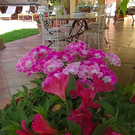 Olga 4* Formia