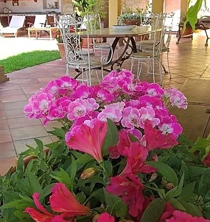 Olga Bed and breakfast 4*
