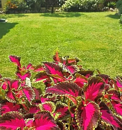 Olga Bed and breakfast 4*
