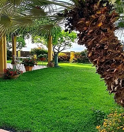 Bed and breakfast Olga 4*