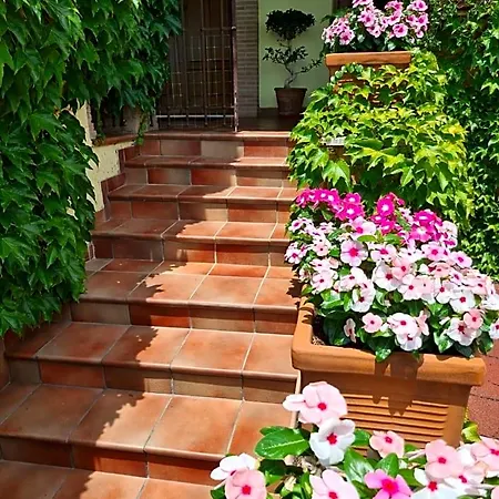 Bed and breakfast Olga Formia
