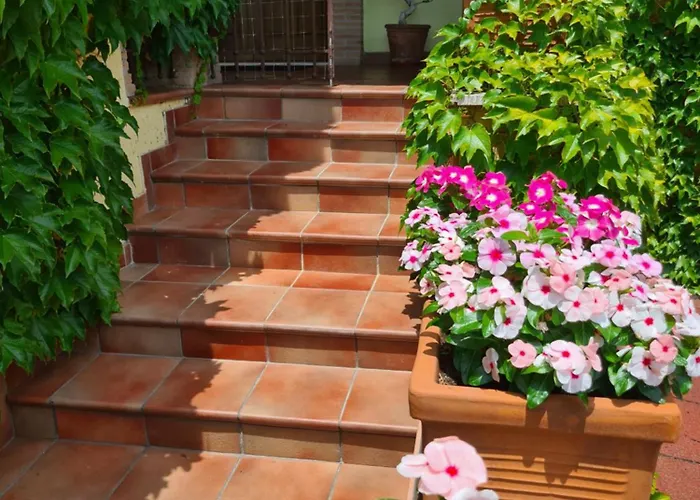 Bed and Breakfast Olga