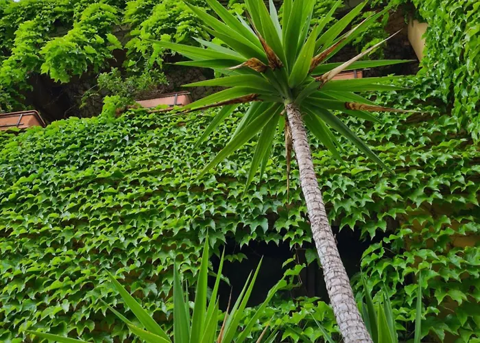 Bed and Breakfast Olga 4*