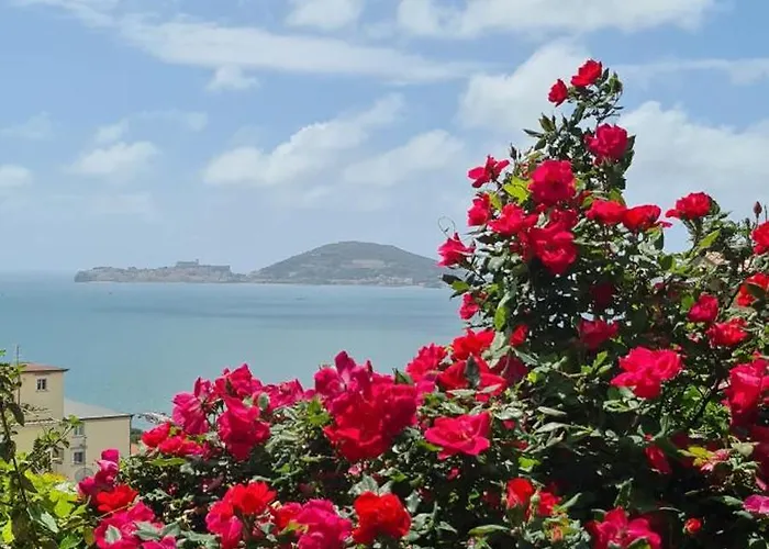 Bed and Breakfast Olga