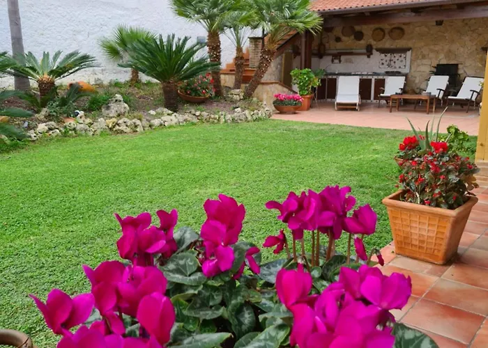 Olga Bed and Breakfast